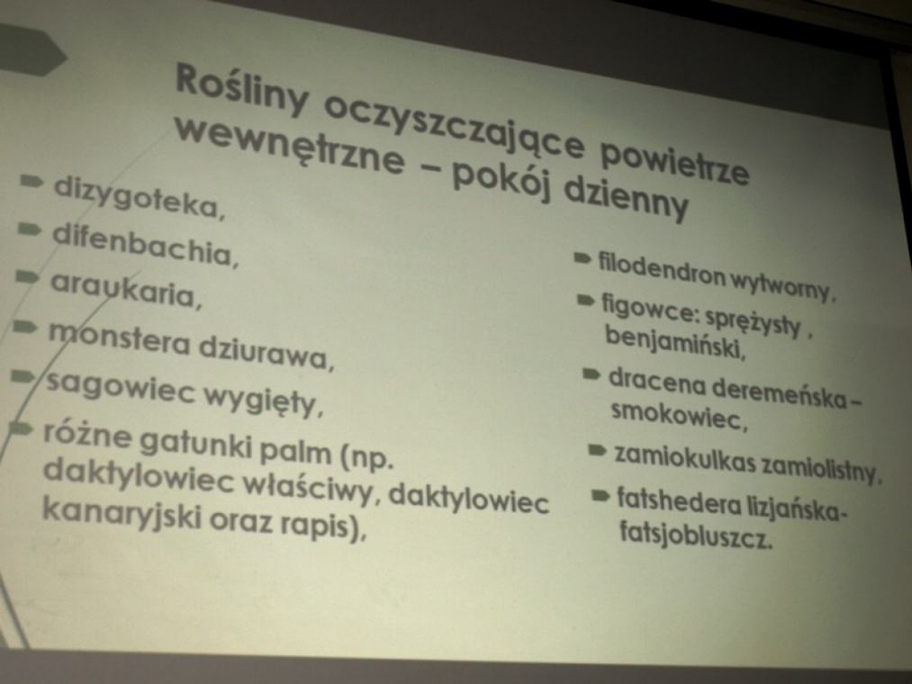zdjęcie_2023