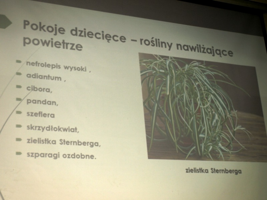 zdjęcie_2024