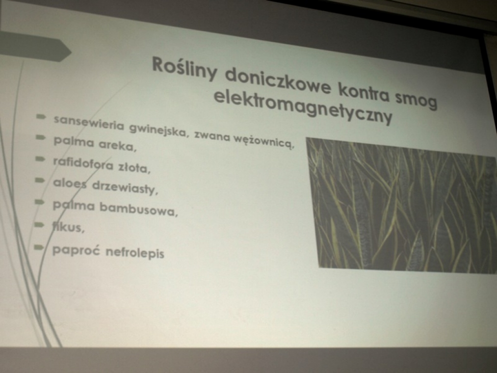 zdjęcie_2025