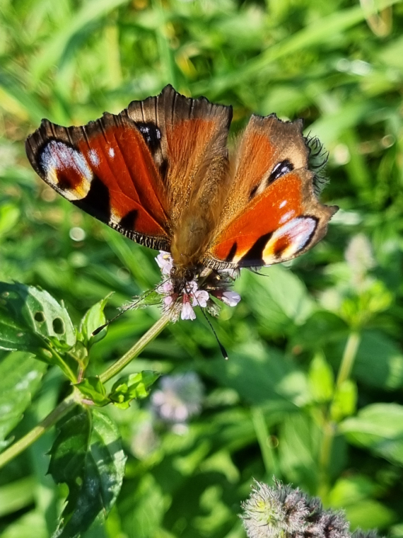zdjęcie_3367