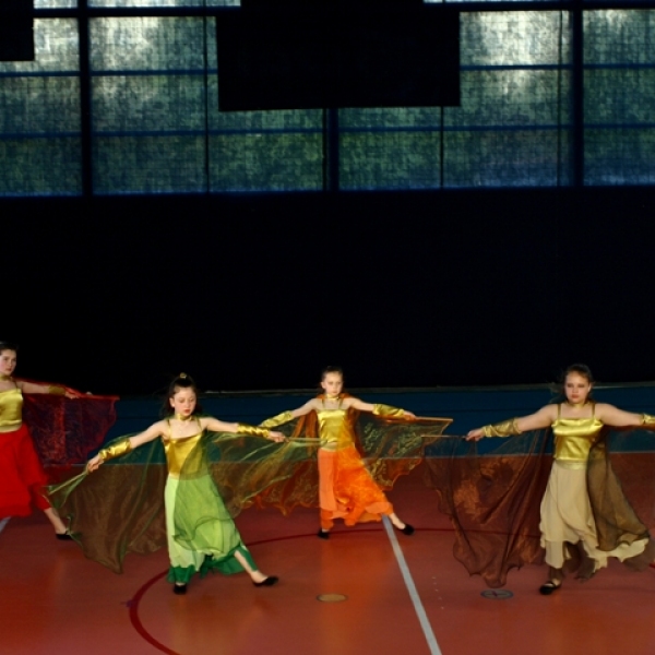 OLYMPUS DIGITAL CAMERA