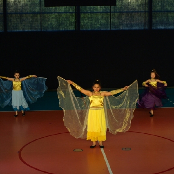 OLYMPUS DIGITAL CAMERA