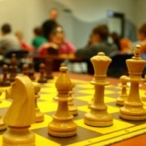zdjęcie_356