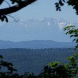 zdjęcie_1257