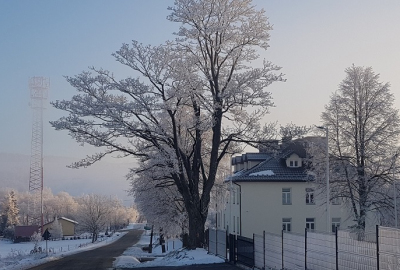 17.01.2020