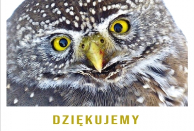 zdjęcie_3051
