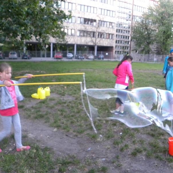 13512164_1027442157309117_2298318628955140882_n