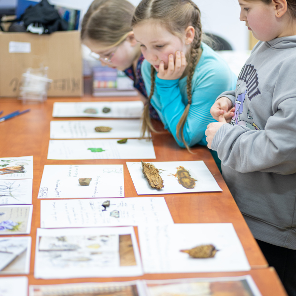 Zajęcia przyrodnicze z Pracownią z Barwinkiem (26.02.26)
