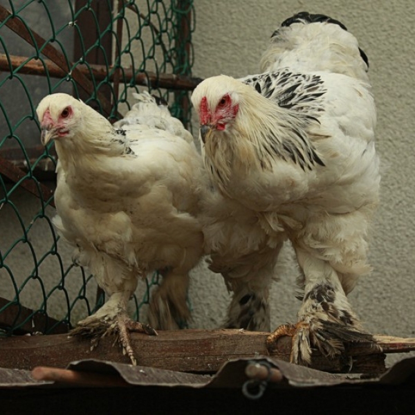 3-2-1-start-katarzyna-misior