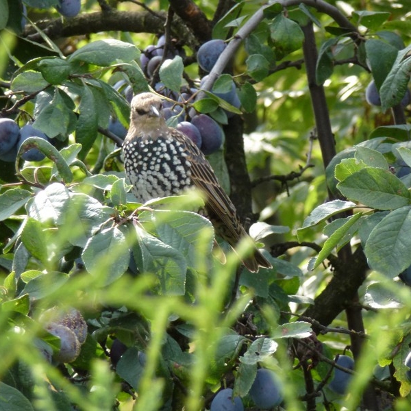 niezly-ze-mnie-model-adam-glab