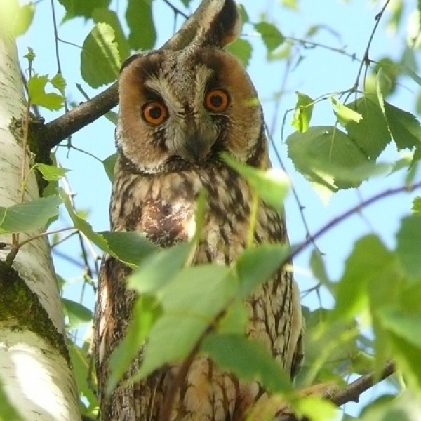 pleszka-w-sieci-jakub-wrobel