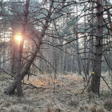 zdjęcie_2819