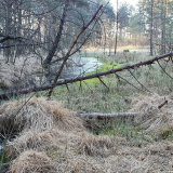 zdjęcie_2824