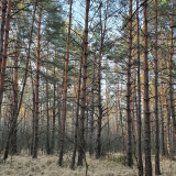 zdjęcie_2826