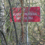 zdjęcie_2825